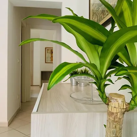 Casa Clo شقة بولونيا